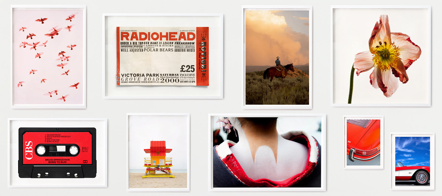 red-photographers-banner